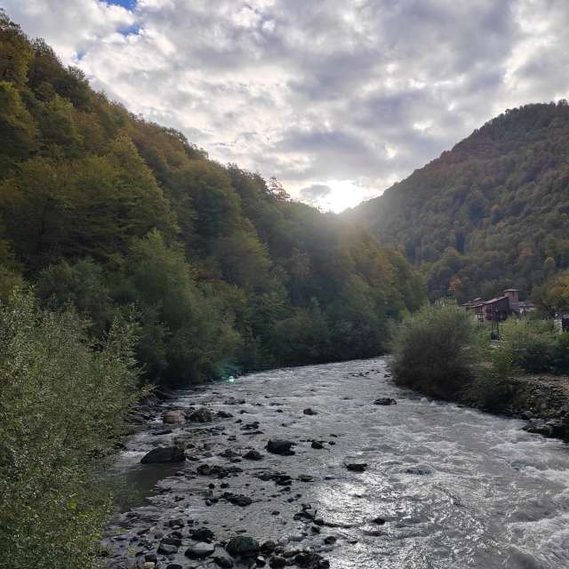 Photos Flanc de coteau. Prévisions météo avec de superbes photos de Albert_Smelovtsev de Roza Khutor