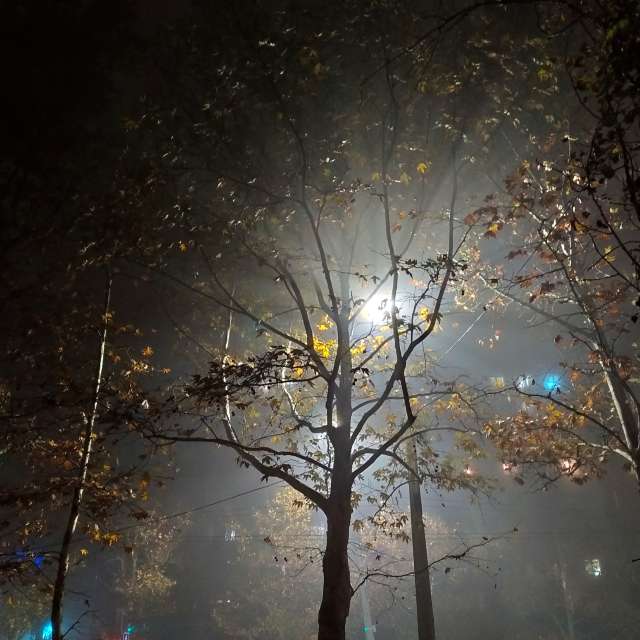 Fotos do tempo em Mundo. Previsões do tempo com lindas fotos de Elena Chayka