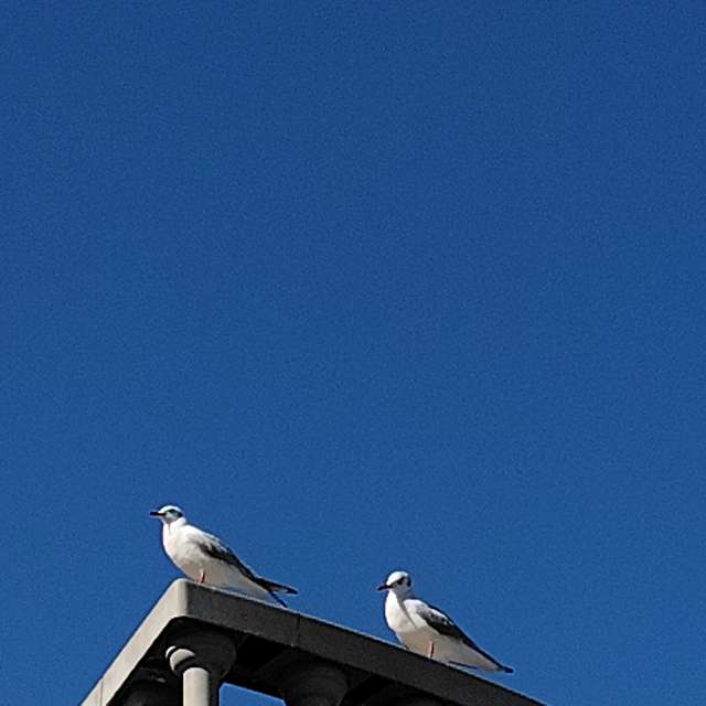 Large. Weather forecasts with beautiful photos by umemui Photos in Atami