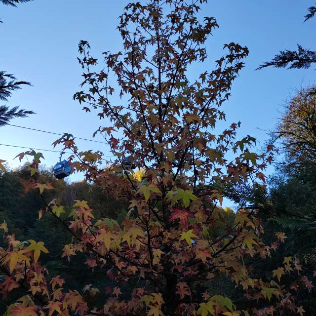 Flying. Weather forecasts with beautiful photos by Albert_Smelovtsev Photos in Roza Khutor