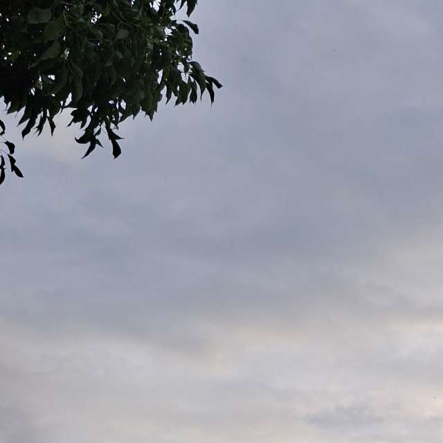 Standing. Weather forecasts with beautiful photos by Wen-ya Huang Photos in World
