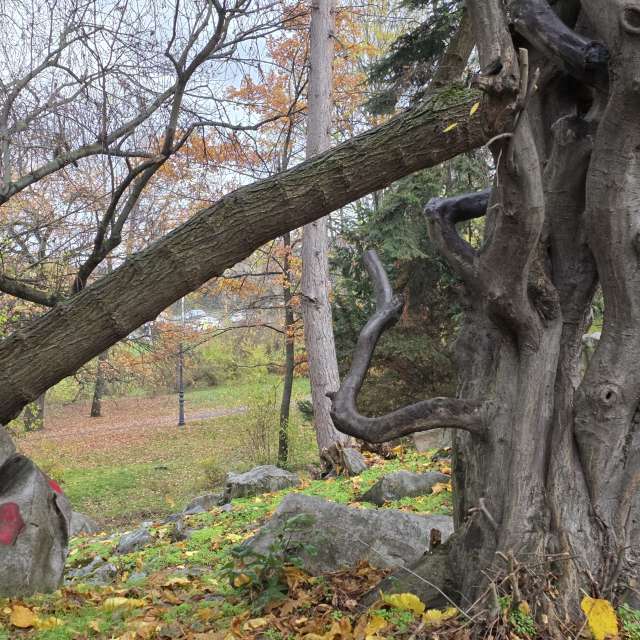 Eating. Weather forecasts with beautiful photos by Kikko Photos in World