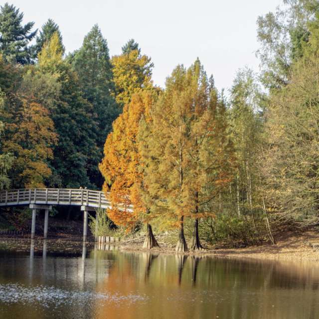Weather forecasts with beautiful photos by Fon_Tunnissen
