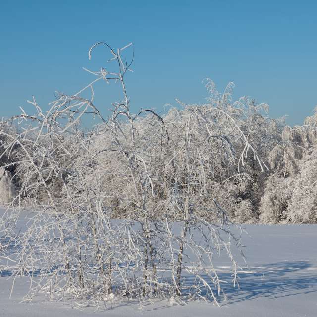 Прогнозы погоды с чудесными фотографиями, сделанными Aleh_Narushevich