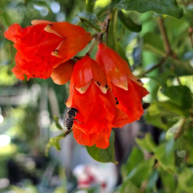 Orange. Weather forecasts with beautiful photos by Wen-ya Huang Photos in Kaohsiung City