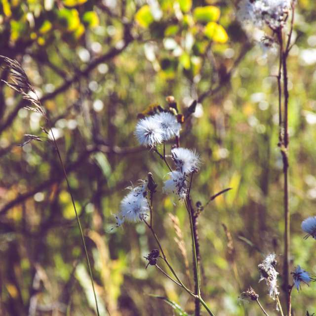 Weather Photos in Calgary. Weather forecasts with beautiful photos by 1stEyeFocused