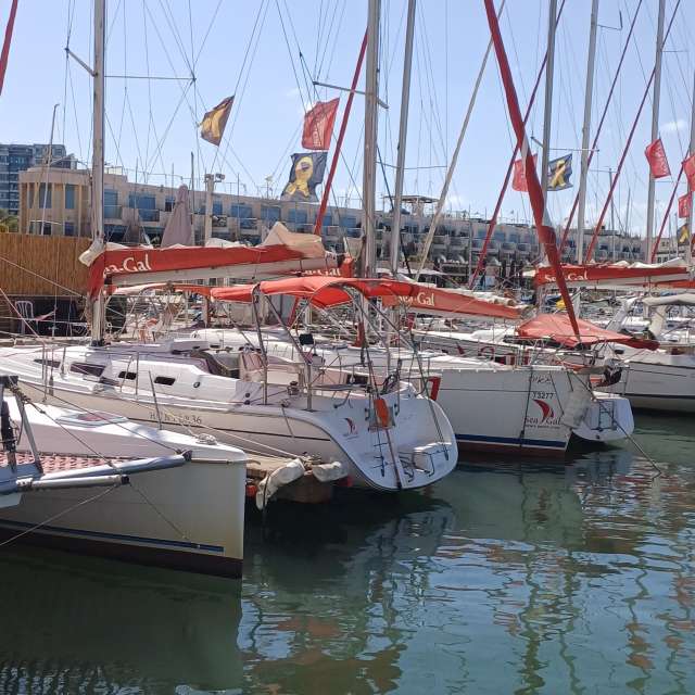 天气预报，带Zaza精美的照片