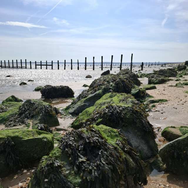 Прогнозы погоды с чудесными фотографиями, сделанными Lolli