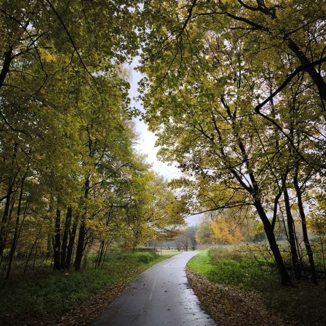 Weather forecasts with beautiful photos by Amanda_and_Valdemar_Che