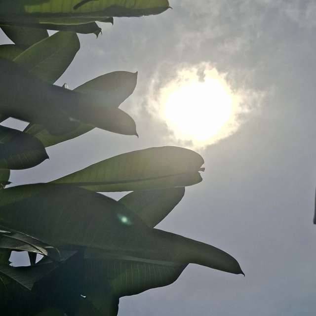 Fotos Lutador. Previsões do tempo com lindas fotos de Wen-ya Huang em Kaohsiung City