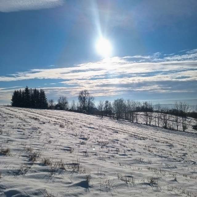 Wettervorhersagen mit schönen Fotos von Kripo