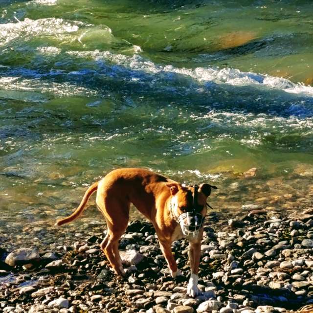 Rocky. Weather forecasts with beautiful photos by Sladjana-Pejovic79 Photos in World