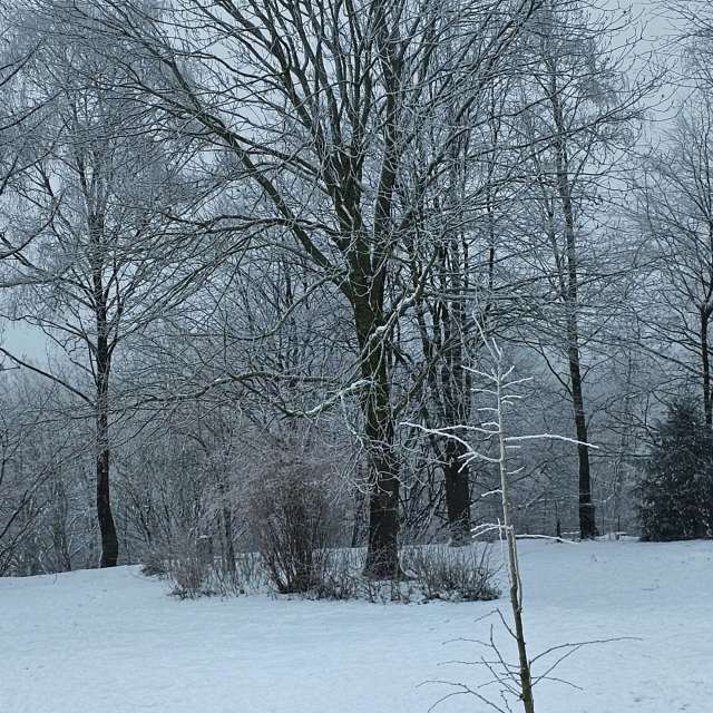 Photos Croix. Prévisions météo avec de superbes photos de Seni de Velbert