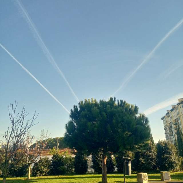 Prévisions météo avec de superbes photos de Joaquim Fonseca