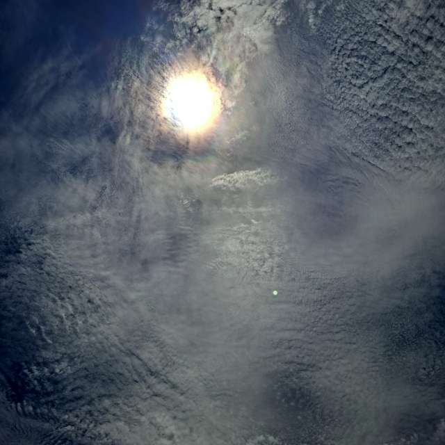 Katze. Wettervorhersagen mit schönen Fotos von Wen-ya Huang Fotos Kaohsiung