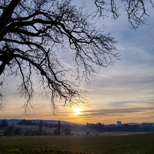 天气预报，带aida-khaldi精美的照片