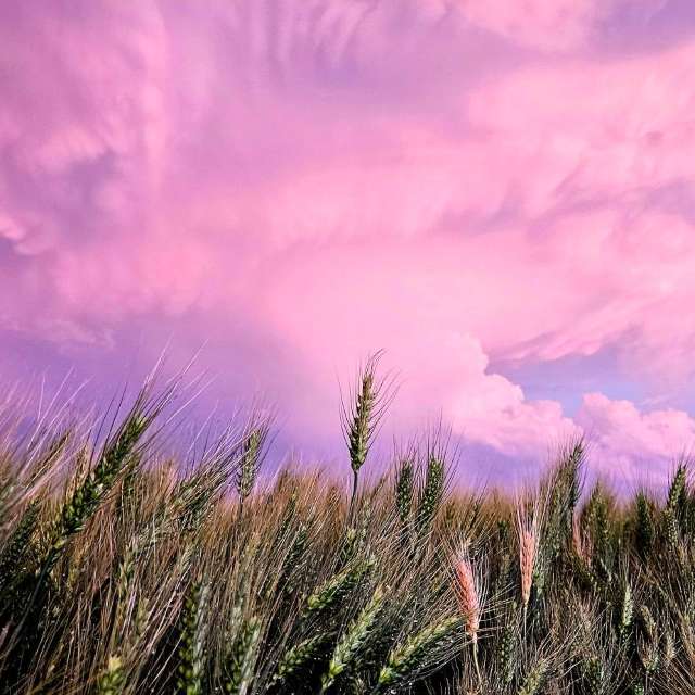 Jd2024の美しい写真による天気予報