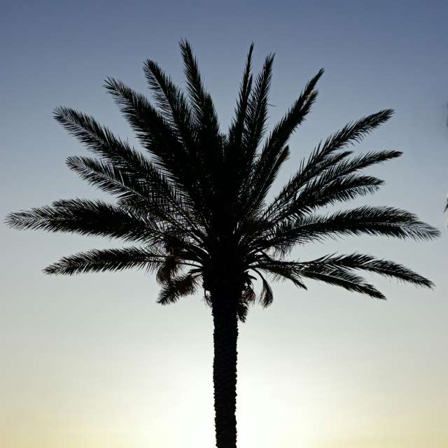 Prévisions météo avec de superbes photos de Traveling-Puma