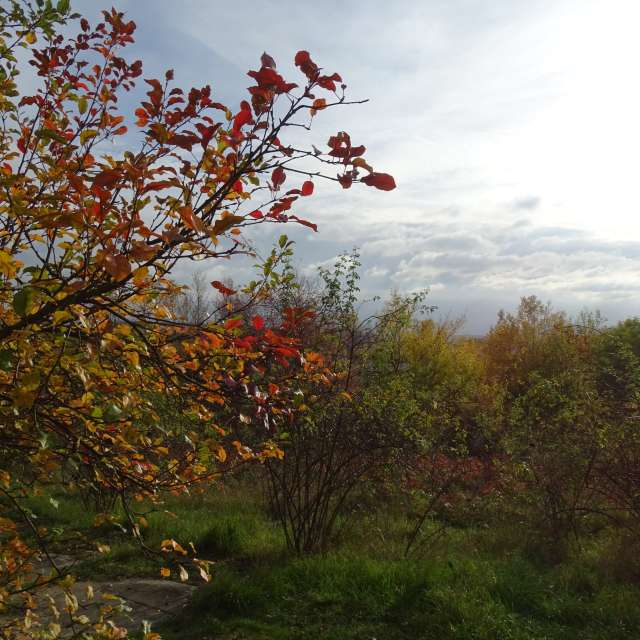 Fotos Verde. Previsões do tempo com lindas fotos de Vasek325 em Praha 12