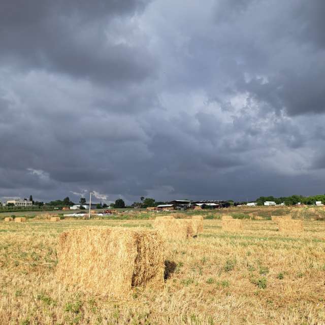 Photos météo à Monde. Prévisions météo avec de superbes photos de Sviatoslav