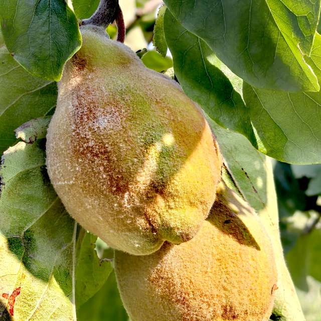 Previsões do tempo com lindas fotos de Igor-65