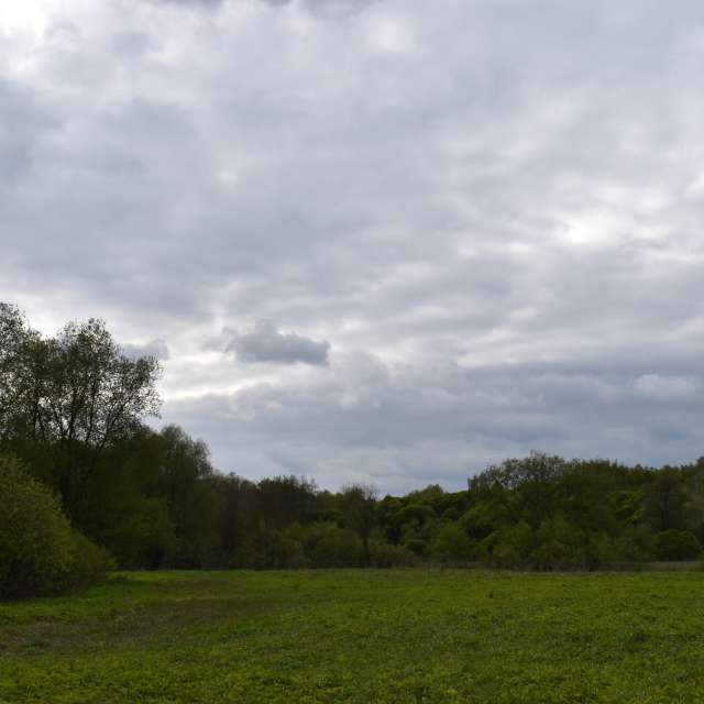 Open. Weather forecasts with beautiful photos by Amanda_and_Valdemar_Che Photos in Izmaylovo District