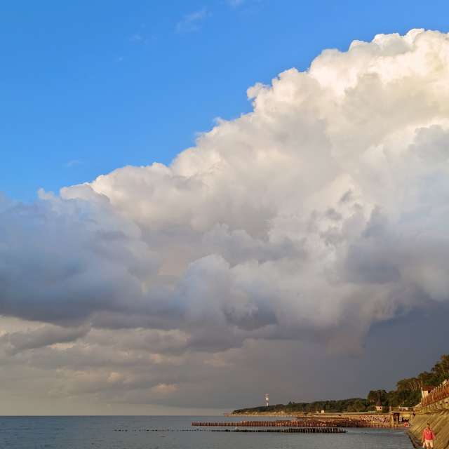 Fotos A lei. Previsões do tempo com lindas fotos de Михаил Бондаренко em Pionerskiy