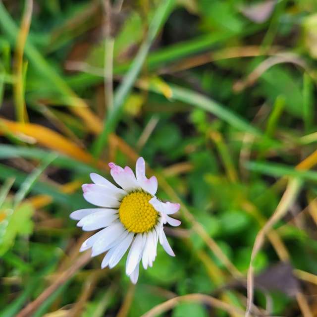 Weather forecasts with beautiful photos by aida-khaldi