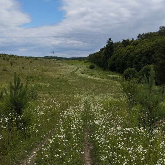 Cloudy. Weather forecasts with beautiful photos by VB Photos in Ukraine