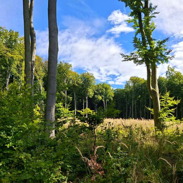 Weather forecasts with beautiful photos by steve2025s