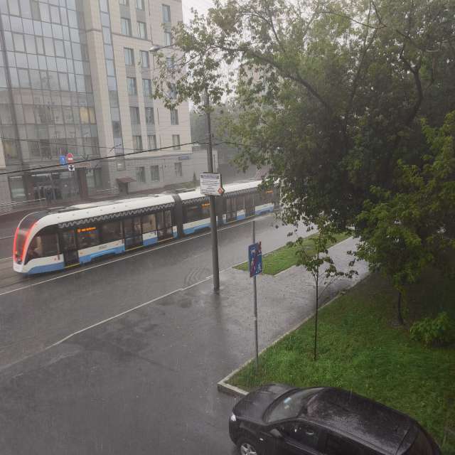 GREENE. Weather forecasts with beautiful photos by Amanda_and_Valdemar_Che Photos in Izmaylovo District