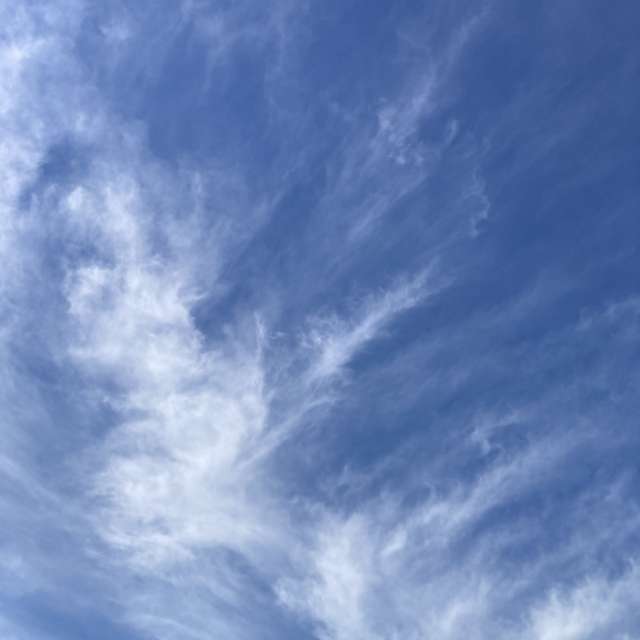 Photos météo à Monde. Prévisions météo avec de superbes photos de prairiesands