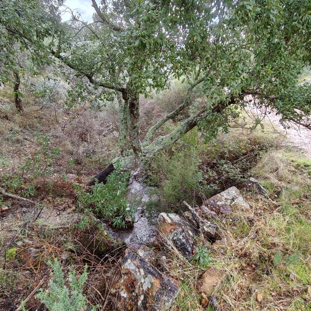 Weather forecasts with beautiful photos by Pcm407