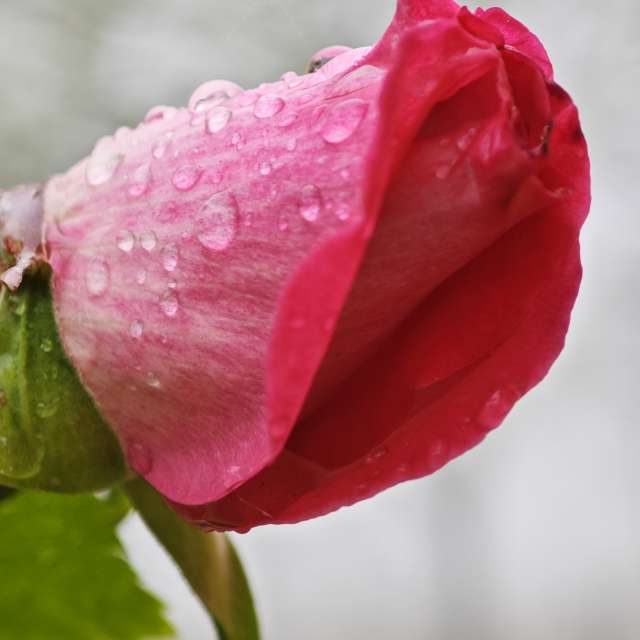 Weather forecasts with beautiful photos by Fabri