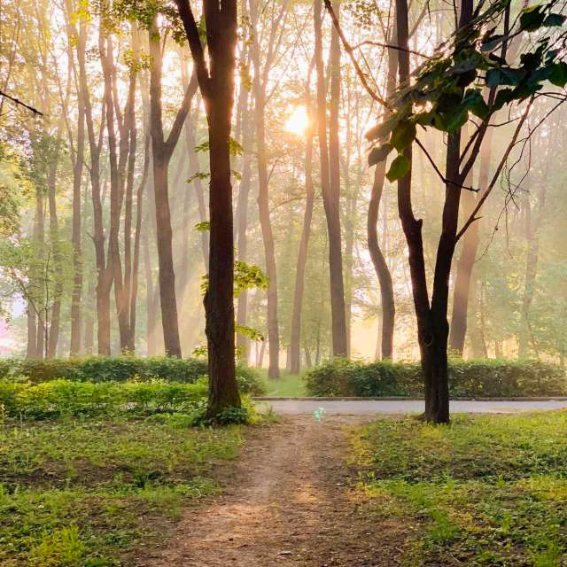 Weather Photos in World. Weather forecasts with beautiful photos by _veronikatis_