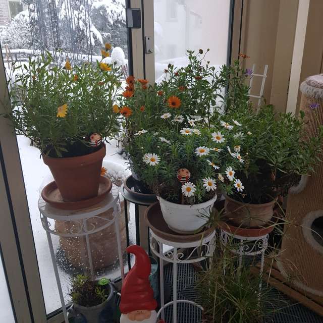 天气预报，带aida-khaldi精美的照片