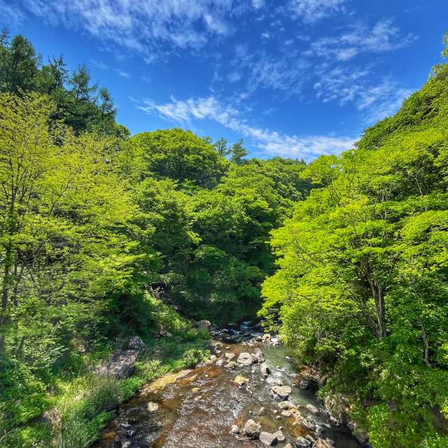 Weather forecasts with beautiful photos by Kasumisou