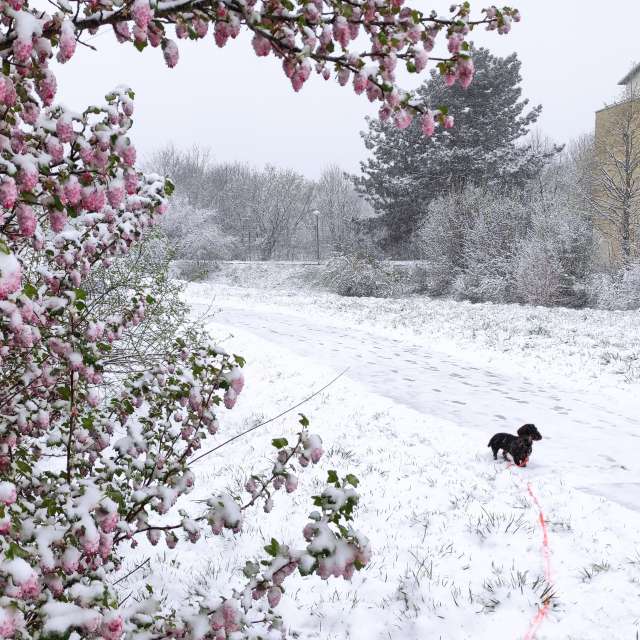 Field. Weather forecasts with beautiful photos by Gweiland Photos in Wellinghofen