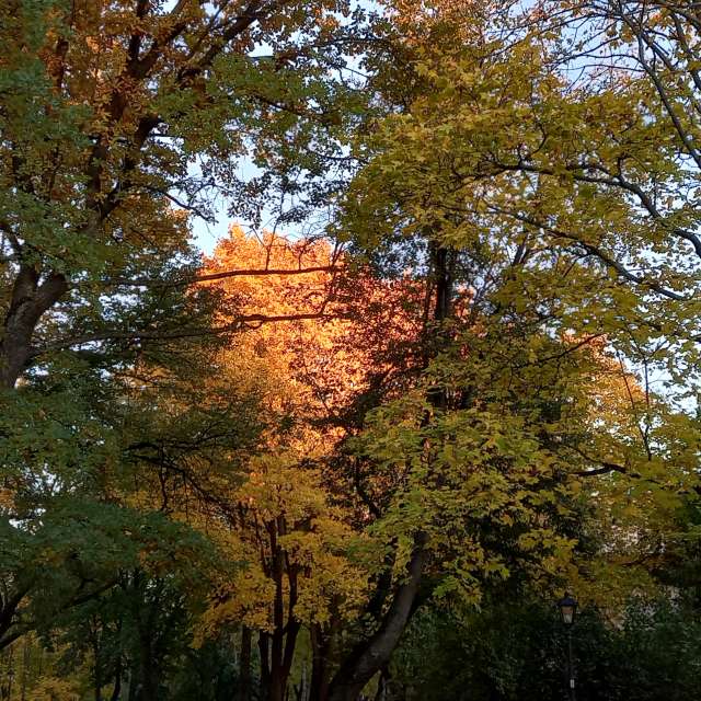 Pronósticos del tiempo con hermosas fotos de Prohojiy