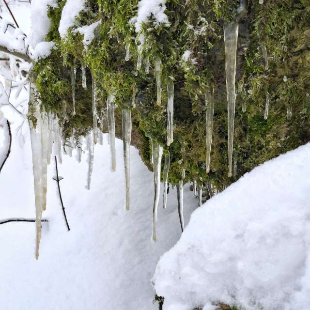 天气预报，带Aleksandar精美的照片