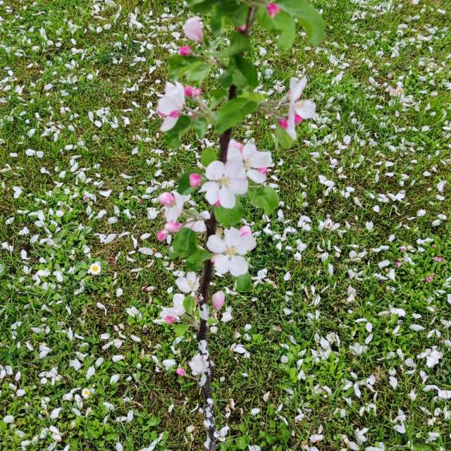 Pronósticos del tiempo con hermosas fotos de Maryous