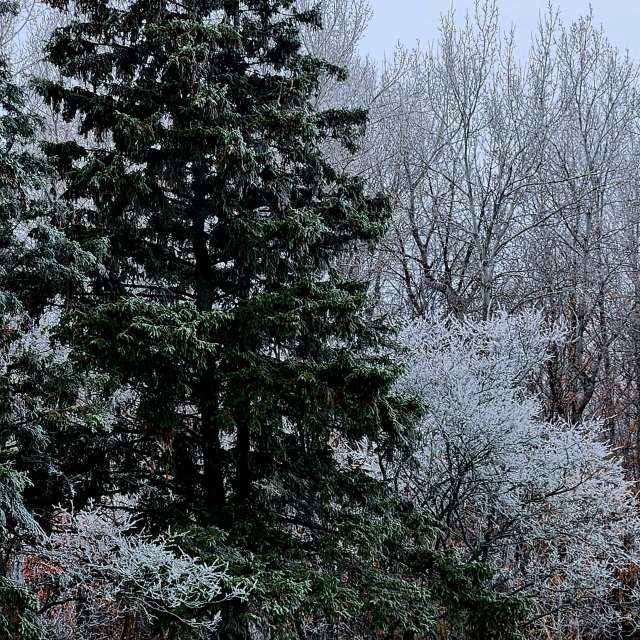 Wettervorhersagen mit schönen Fotos von KevinG