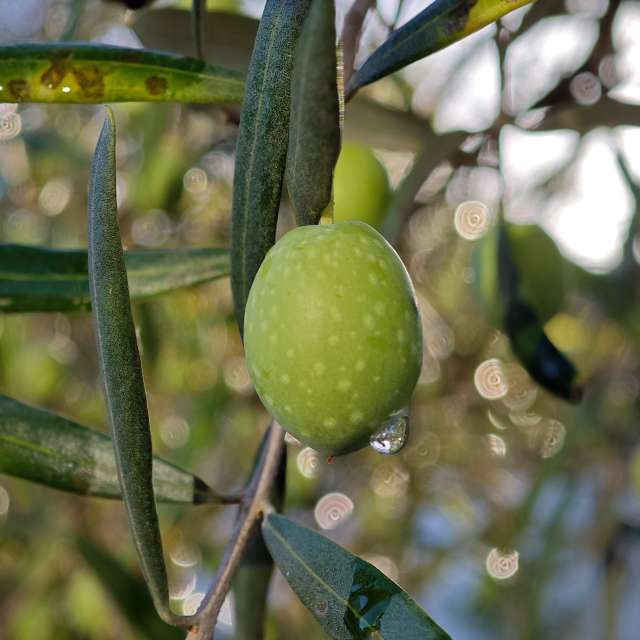 Eating. Weather forecasts with beautiful photos by NEMERY Photos in World