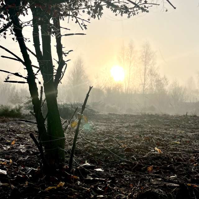 Photos Eau. Prévisions météo avec de superbes photos de Stassy de Teshkovo