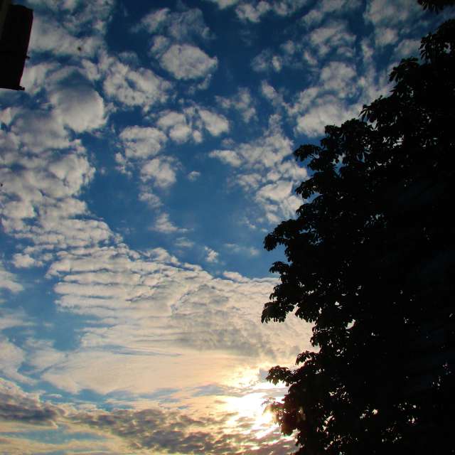 Airplane. Weather forecasts with beautiful photos by Михаил Гавриков Photos in Kharkiv