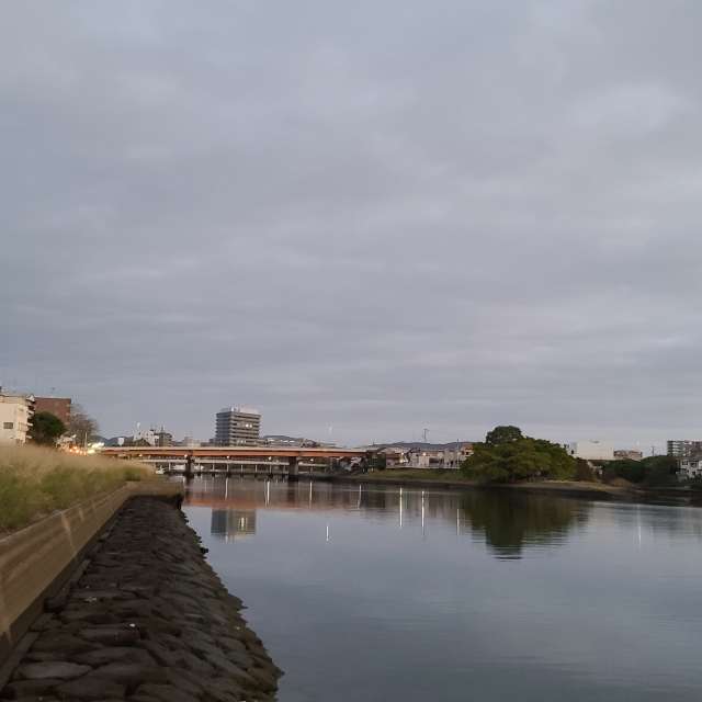 Sheep. Weather forecasts with beautiful photos by あさのジジ Photos in Okayama