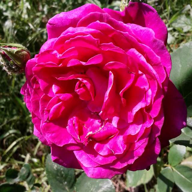 Table. Weather forecasts with beautiful photos by urashm Photos in Khmelnytskyi