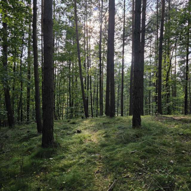 xPrzybyLxの美しい写真による天気予報