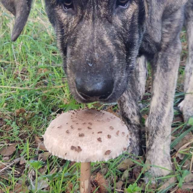 Previsões do tempo com lindas fotos de BIKOTRAVEL