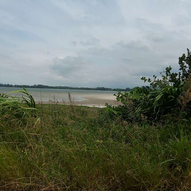 Wettervorhersagen mit schönen Fotos von catiams